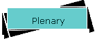 Plenary